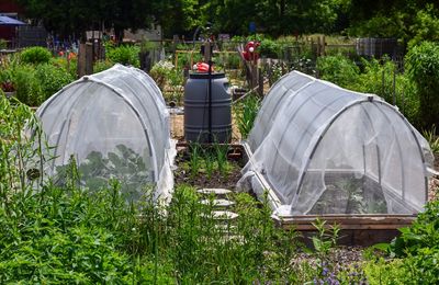 5 Garden Bags Covers That Outperform Tarps in Freezing Temps