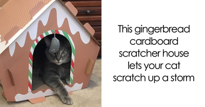 If You identify As A Crazy Pet Person, These 27 Gifts Should Be Under Your Tree