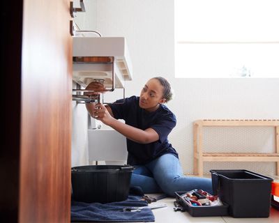 Want job security in the age of AI? Get a state license – any state license