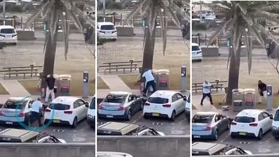 Fruit shop owner hailed as hero after disarming Bondi Beach gunman