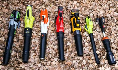 The best cordless leaf blowers in the US to cut down time without bothering neighbors