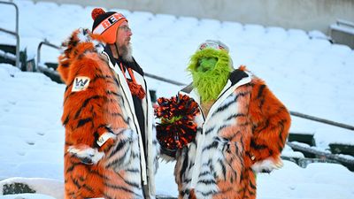 Fans Ripped Bengals Ownership After Failing to Clear Snow From Seats Before Kickoff