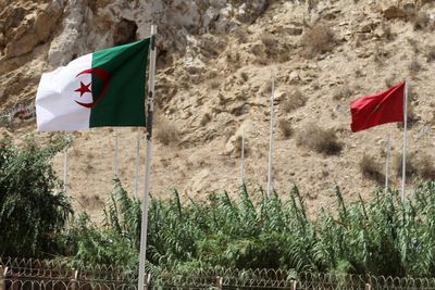 9 African migrants died in freezing temperatures near Morocco-Algeria border