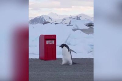 King sends post box to British scientists working in Antarctica in time for Christmas