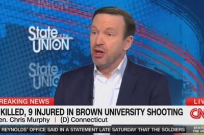 Dem senator who backed Sandy Hook reforms says Trump launched ‘dizzying campaign’ of violence