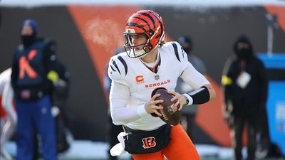 Joe Burrow Had Extremely Blunt Comments After Bengals’ Shutout Loss to Ravens