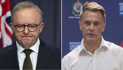 Albanese Considering Gun Reform Following Bondi Terror Attack: ‘Whatever Is Necessary’