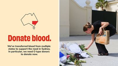 How To Donate Blood In The Wake Of The Bondi Terror Attack