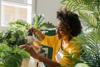 Why you’ll be putting your houseplants outside in the garden in 2026