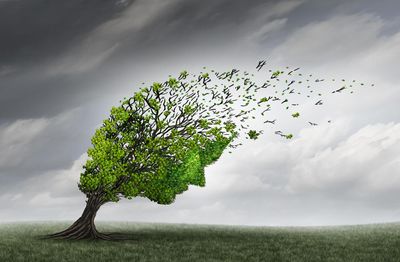 Distressing videos can have a lasting impact – here’s how to look after yourself in the wake of the Bondi attack