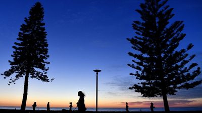 Killer affected by MDMA before fatal seaside shove