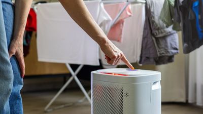 Can you use a dehumidifier to dry your clothes? Expert reveals all