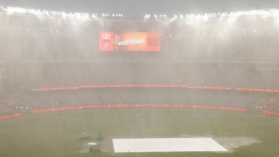 Mighty storm just not cricket as energy grid damaged