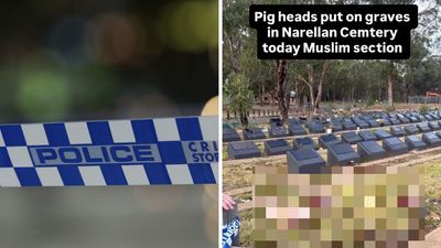 Police Investigating After Decapitated Pig Heads Left At Muslim Cemetery In Sydney