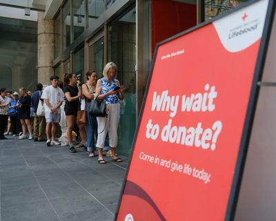 Why did Sydneysiders queue up to four hours to give blood after the Bondi attack? Here’s what they told us