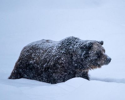 Pulse by Cynan Jones review – short stories that show the vitality of the form