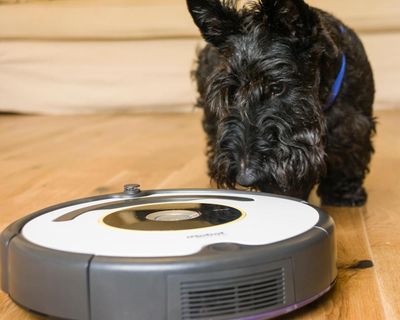 Roomba maker iRobot bought by Chinese supplier after filing for bankruptcy
