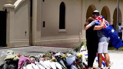 Bondi Beach gunmen had pledged allegiance to Islamic State group