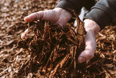 Could You Be Wasting Money On Garden Mulch That Doesn’t Work?