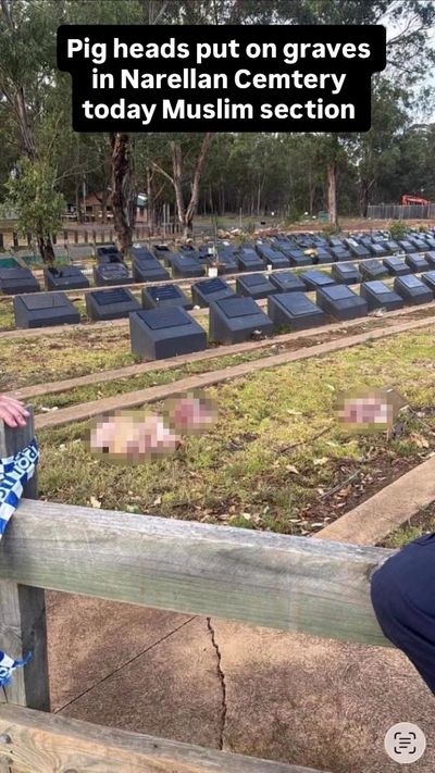 Pigs heads thrown into Muslim cemetery in vile incident following Bondi Beach attack