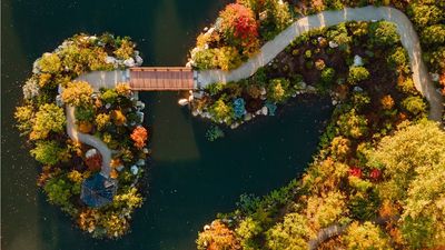 Beyond Wild Expectations: Michigan’s Very Own Slice of Japan – Where Ancient Garden Design Provides a Deep Connection to Nature