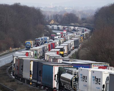 Chances of EU trucking industry hitting zero emissions targets are dire, says industry body