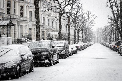Snowy Commutes Teach You More About Your Temperament Than You Expect