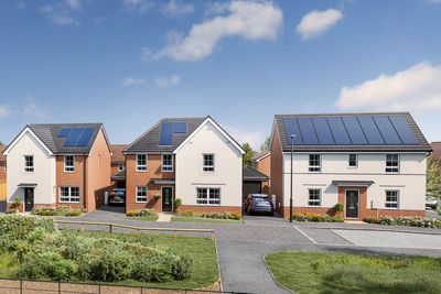 What are the different types of solar panels? Experts compare monocrystalline, polycrystalline and thin-film