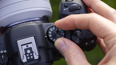 These Canon custom camera modes are my secret sauce when every second counts