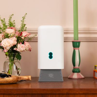 How smart tech can give you peace of mind as a dog owner