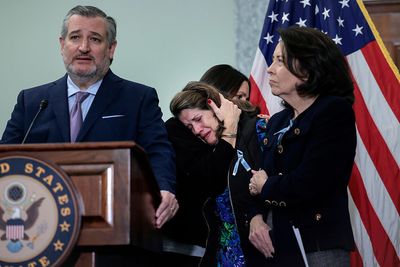 Reagan National airport safety looms as appropriations issue - Roll Call