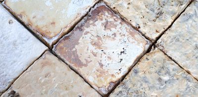 We think of mushrooms as food. But mycelium-based blocks could be the future of construction