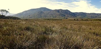 Hidden clues in colonial journals reveal why Tasmania’s remote west keeps burning