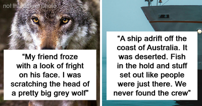 46 Creepy And Mysterious Things People Witnessed In Remote And Isolated Places