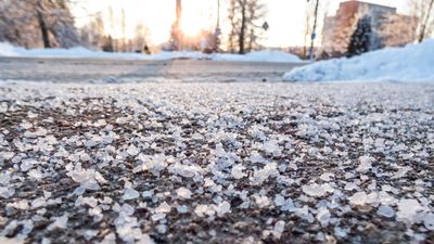 The surprising effects of using too much de-icing salt on your driveway