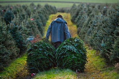 HMRC issues warning to seasonal Christmas workers