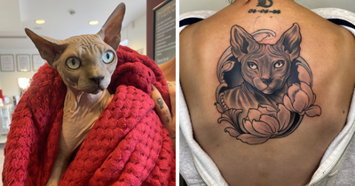 We Turned Memories Of People’s Pets Into Tattoos, Beautiful Tributes That Say What Words Can’t (22 Pics)