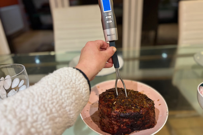 8 best meat thermometers, tested on Christmas feasts