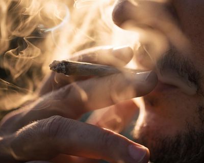 Trump’s cannabis reform would revolutionise US policy. Just don’t expect the ‘war on drugs’ to end