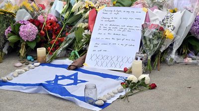 Take personal responsibility for Bondi deaths, PM told