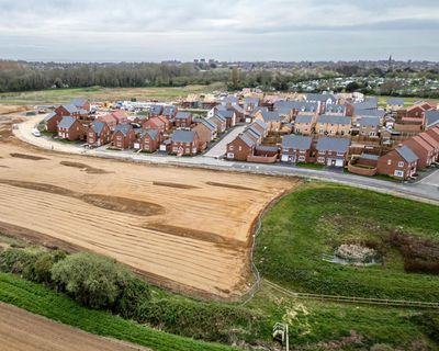 Ministers ‘break word’ on protecting nature after weakening biodiversity planning rule