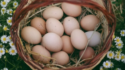 Salmonella-Tainted Eggs Sicken 63 People - Check Your Fridge, Health Officials Warn