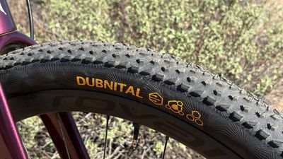 Do the Continental Dubnitals live up to the Race Kings as the best big gravel tyre?