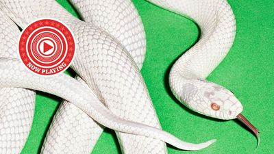 Goodbye, 2025! Check out 7 of our favourite test tracks of the year