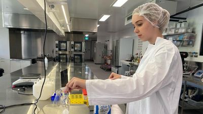 Native foods heroed in fight against chronic disease