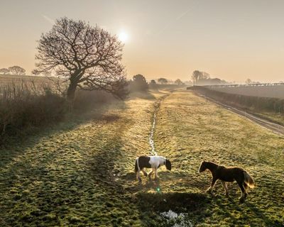 2025 is UK’s sunniest year on record, boosting solar power