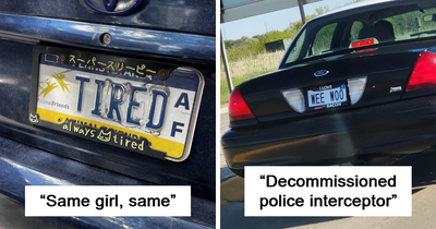 50 License Plates So Clever People Had To Take Photos