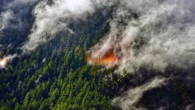 Wildfire smoke lofted miles high could have an unexpected effect on Earth's climate