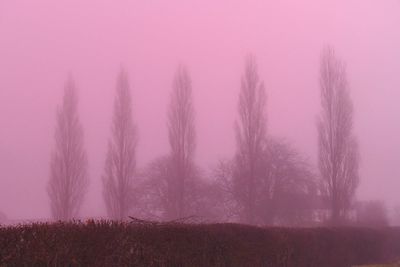 Rare pink fog descends on the UK as Met Office issues weather warnings across the country