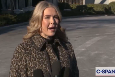 Karoline Leavitt calls out ‘disingenuous’ Vanity Fair article after Susie Wiles’ Trump interview as writer fires back